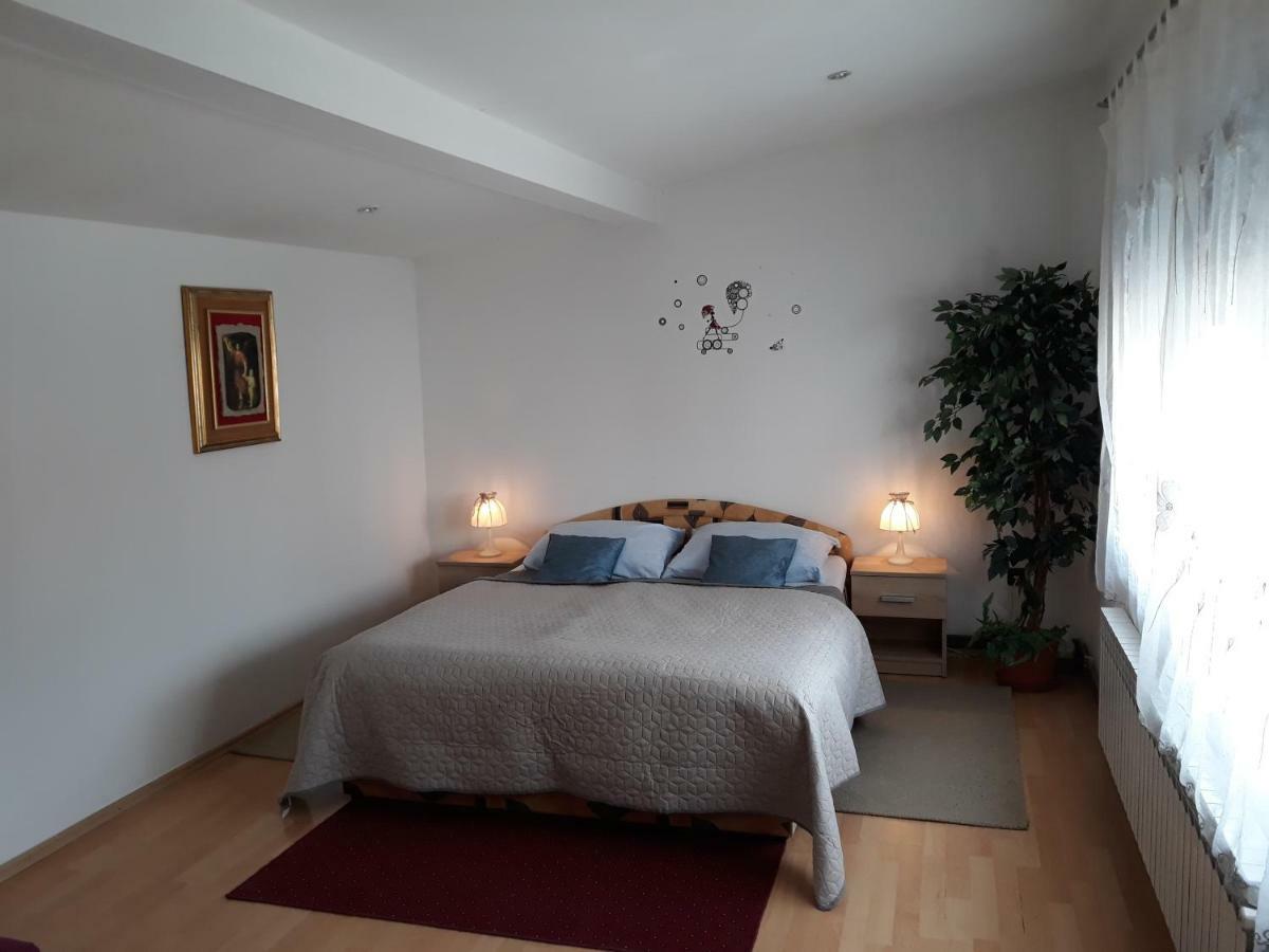 Apartmani Kristanic 카를로바츠 외부 사진